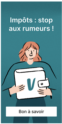 impots & Vinted