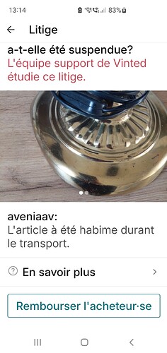 Screenshot_20241130_131448_Vinted