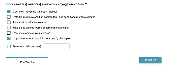 questionnaire vinted 2