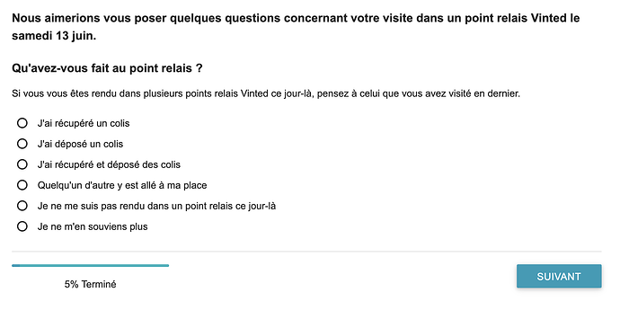 Questionnaire vinted 1