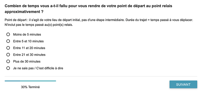 questionnaire vinted 3