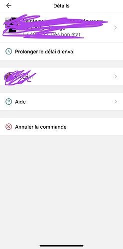 prolongation envoi vinted