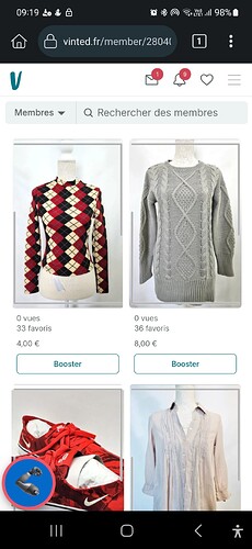 Screenshot_20250126_091935_Kiwi Browser