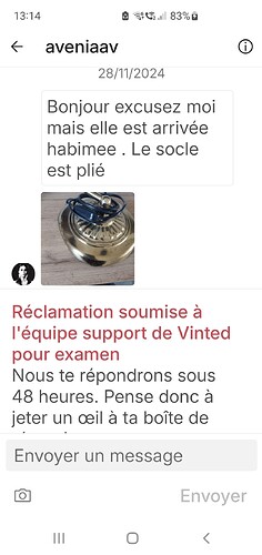 Screenshot_20241130_131439_Vinted