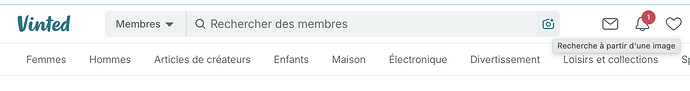 recherche vinted par image