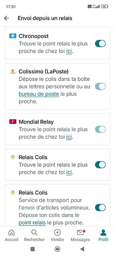 Screenshot_2025-10-11-17-51-55-617_fr.vinted