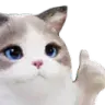 :psycat_thumbsup: